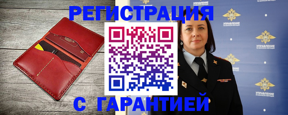 прописка поиск в Зеленогорске